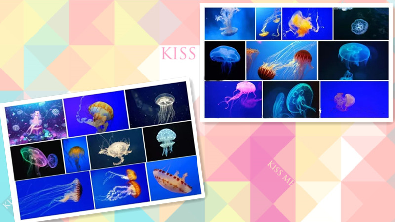 BBunion国际早教惠东中心活动花絮：海边亲子游